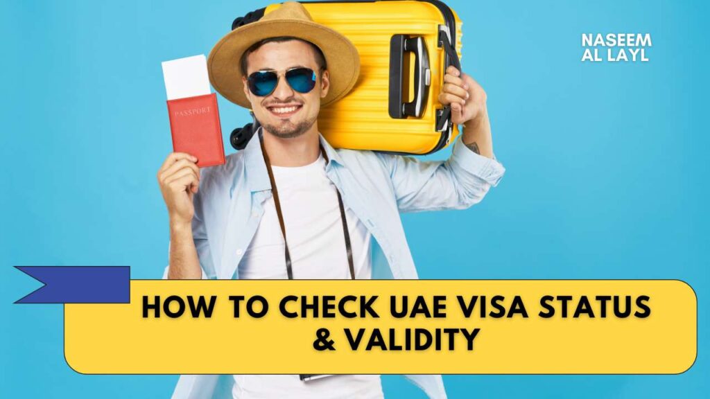 How ​​to Check UAE Visa Status & Validity