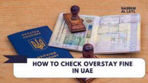 How to Check Overstay Fine in UAE