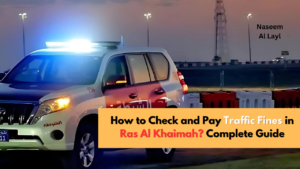 How to Check and Pay Traffic Fines in Ras Al Khaimah? Complete Guide