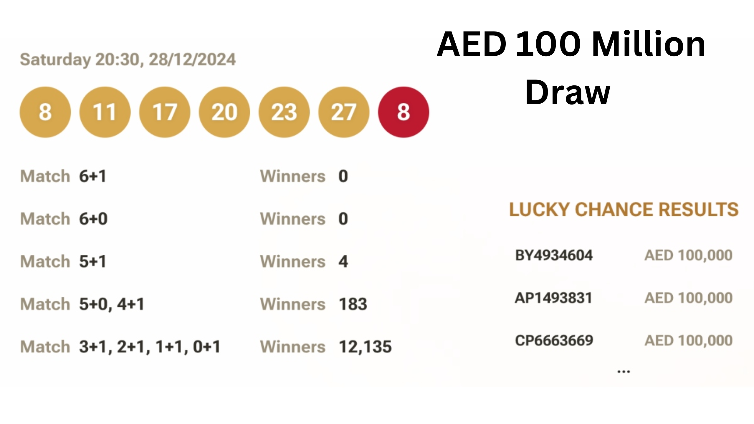 UAE Lottery Results for December 28, 2024: Who Won, Who Lost?