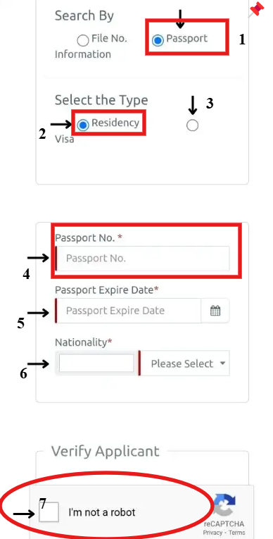 Check Visa Status by Passport Number